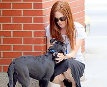 Julianne Moore real street upskirts